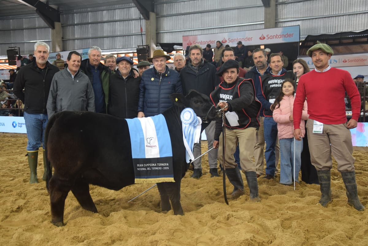 Brangus destacó a los terneros más sobresalientes