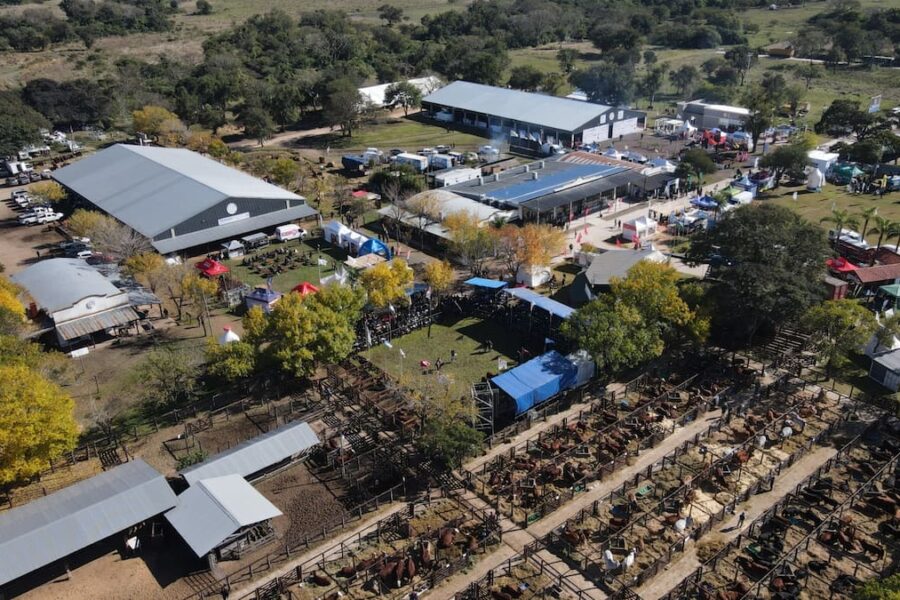 Pronto se celebrarán las Nacionales destacando la ganadería del norte