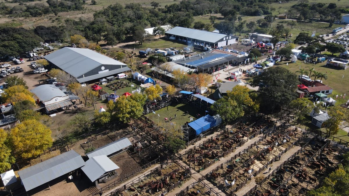 Pronto se celebrarán las Nacionales destacando la ganadería del norte