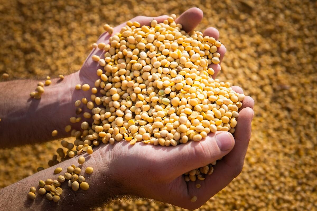 CRA cuestiona sistema para semillas mientras empresas del sector destacan su previsibilidad