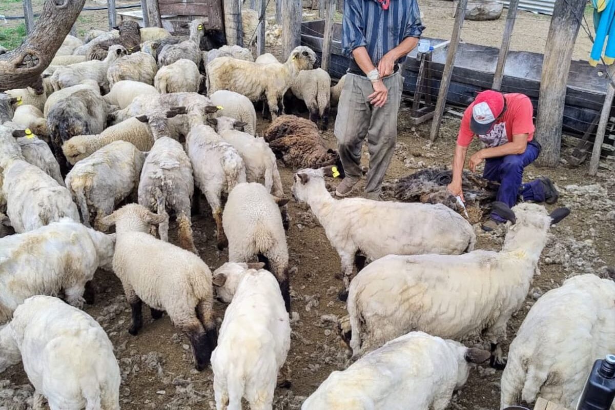 Lugares que integran producción y turismo rural para el disfrute del público