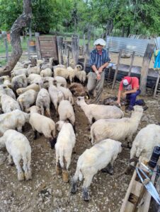 Lugares que integran producción y turismo rural para el disfrute del público