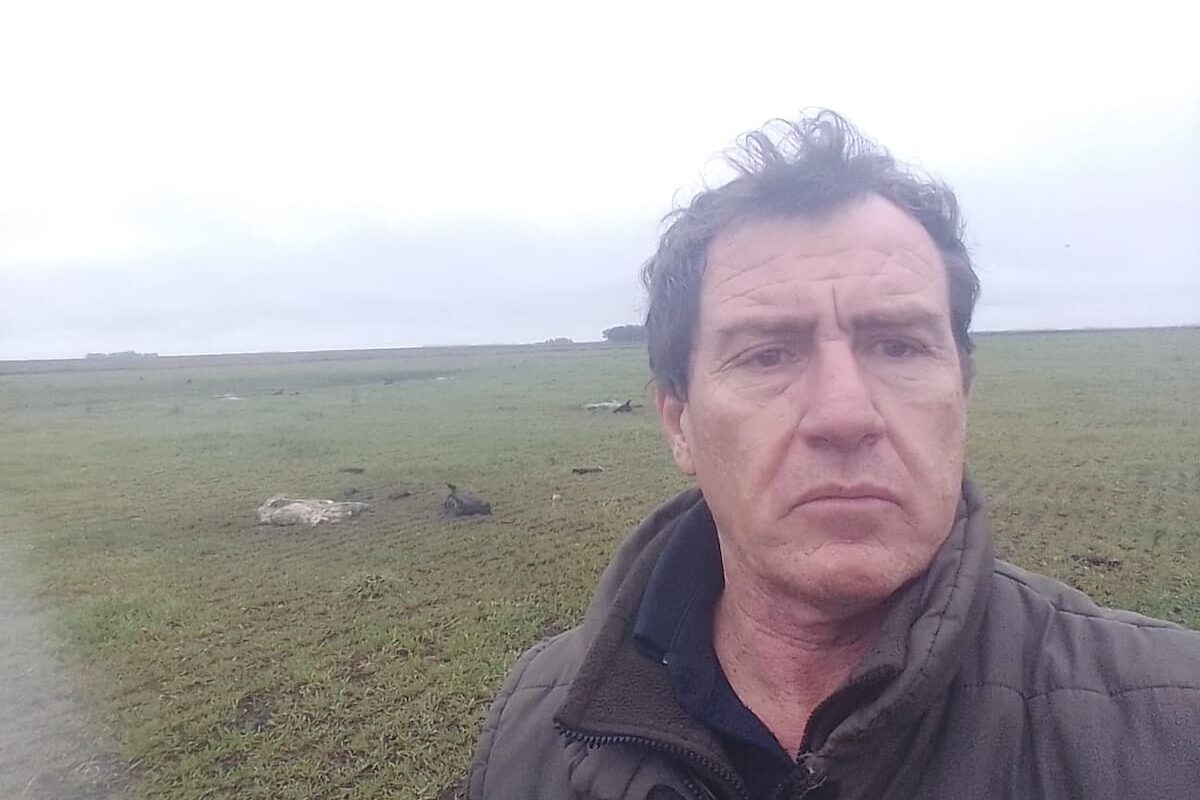 Desgarradora experiencia de un productor tras perder más de $20 millones en ganado en solo cinco meses