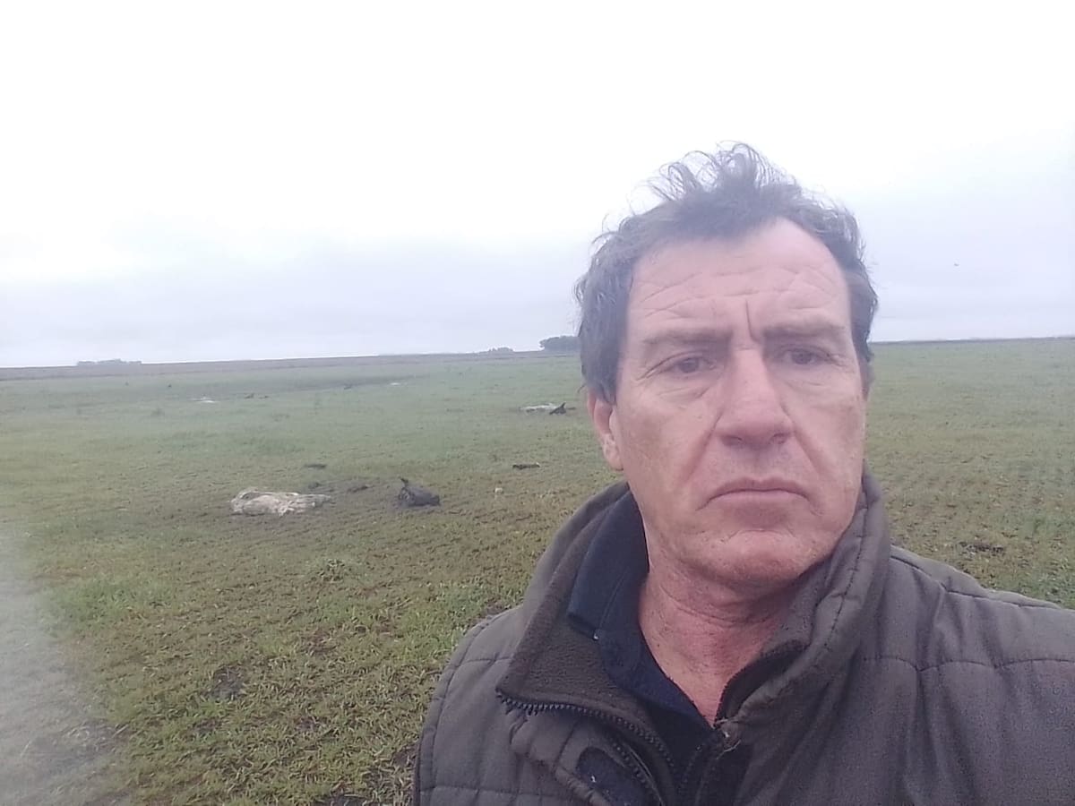 Desgarradora experiencia de un productor tras perder más de $20 millones en ganado en solo cinco meses