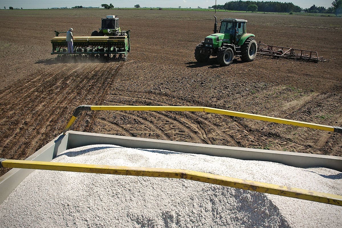 Diagnóstico de suelos y manejo agronómico en condiciones regionales: un enfoque integral