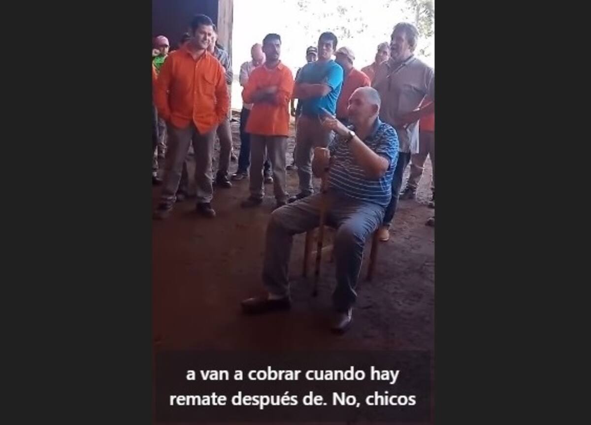 Un video revela la crisis terminal de un aserradero reconocido y sus implicaciones adicionales