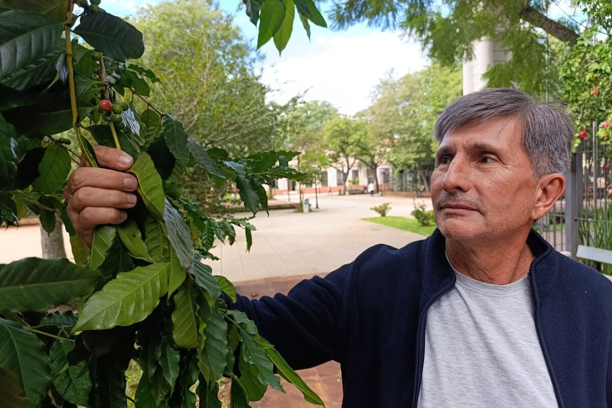 Provincia busca convertirse en potencia en la producción de café