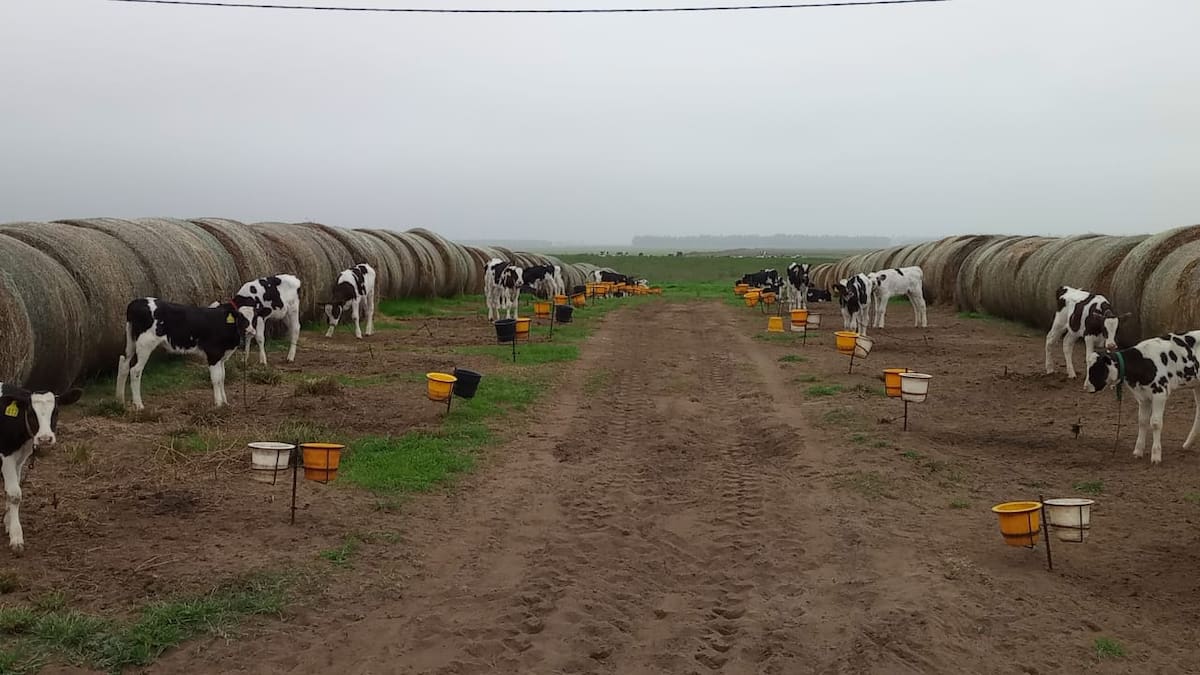 Superaron dificultades como empresa gracias a una gestión eficiente