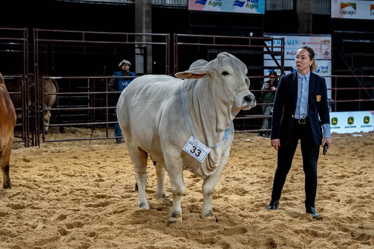 Jura ganadera nocturna marca un hito en el país con la participación de una experta brasileña
