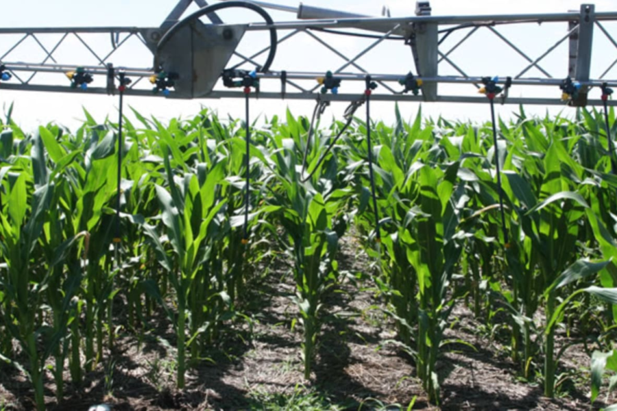 Claves para una producción sostenible en la fertilización agrícola