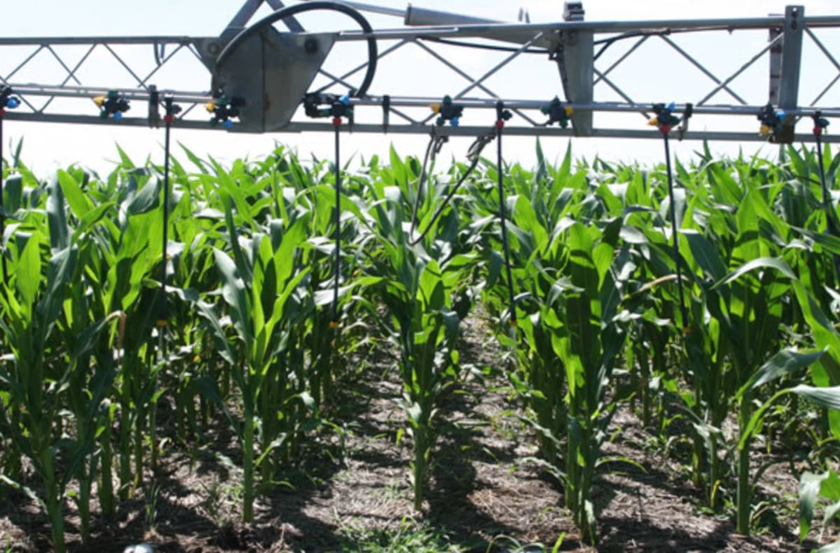 Claves para una producción sostenible en la fertilización agrícola