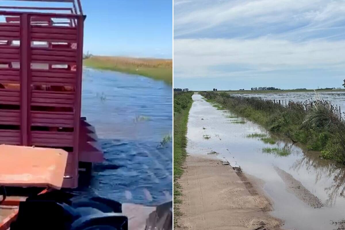 Productor denuncia el deterioro de caminos en un municipio de Buenos Aires y exige obras pendientes