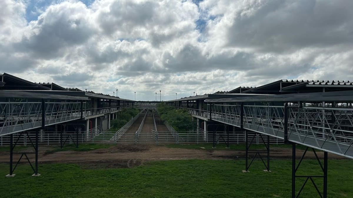 Aumentan los precios en el mercado agroganadero de Cañuelas al inicio de la semana