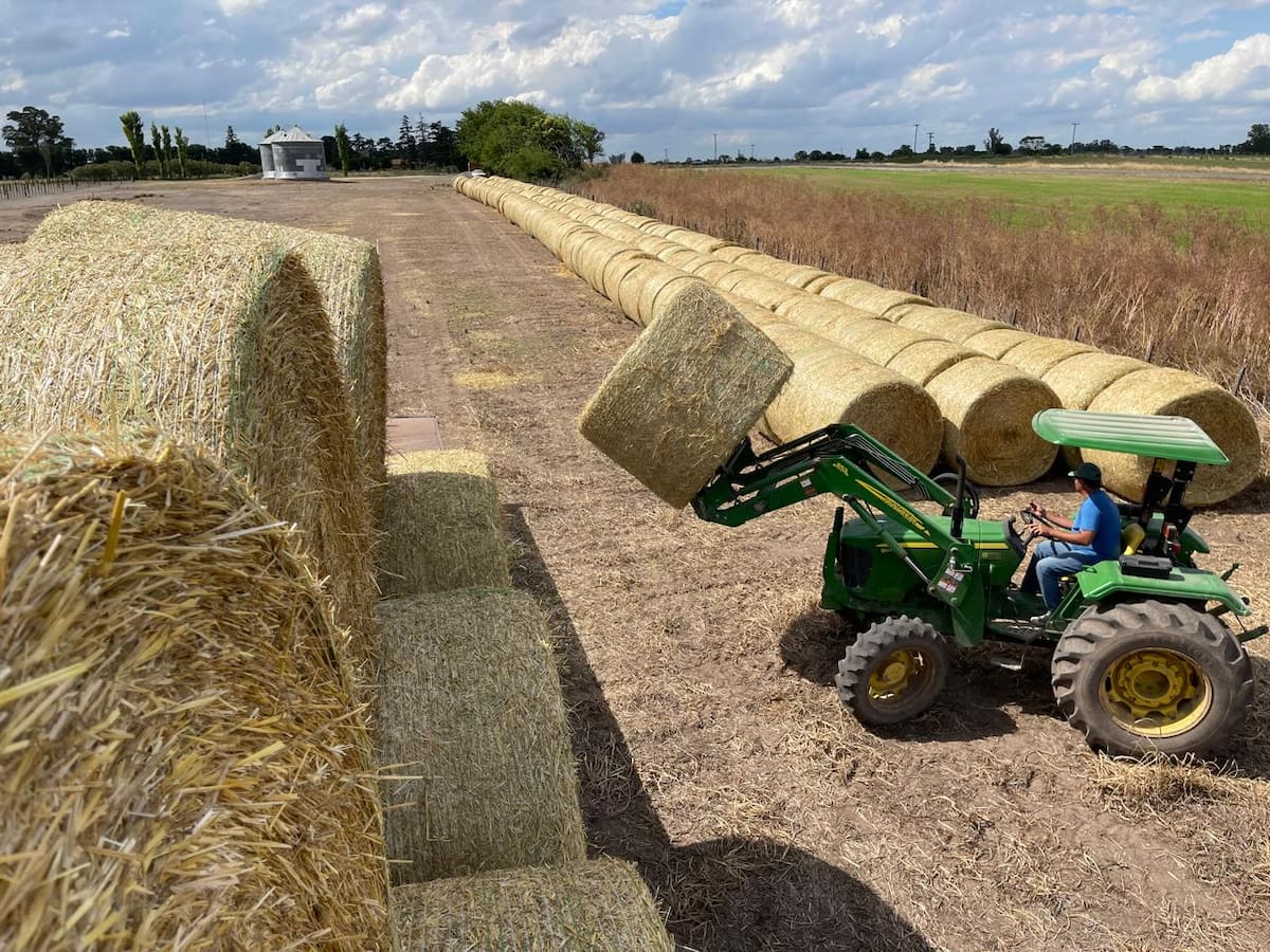 Incorporar tecnología en la ganadería: un momento oportuno