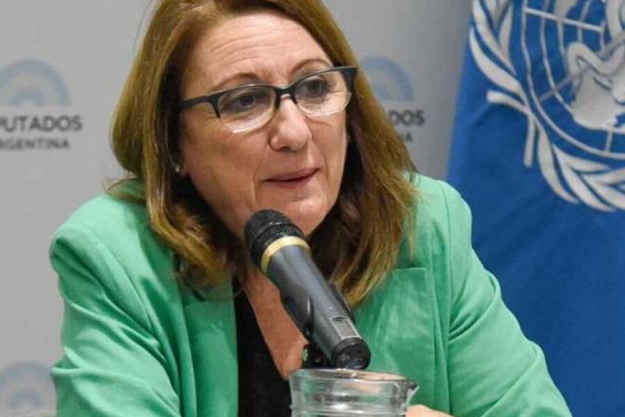 Mónica Fein: “La reimpresión de boletas la tiene que pagar La Libertad Avanza”