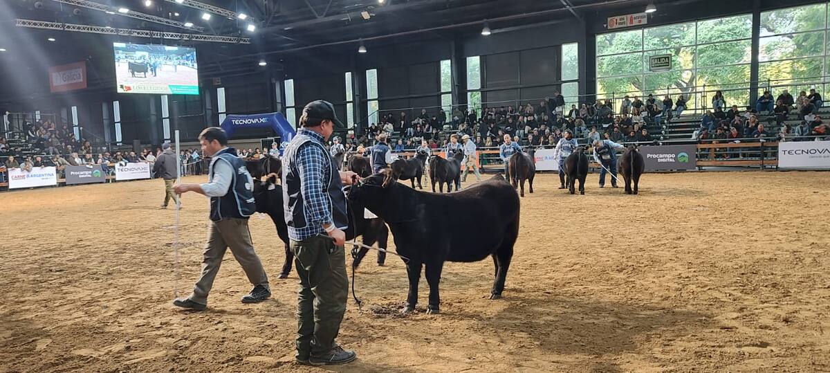 Líderes del sector ganadero analizan el actual buen momento y sus previsiones futuras
