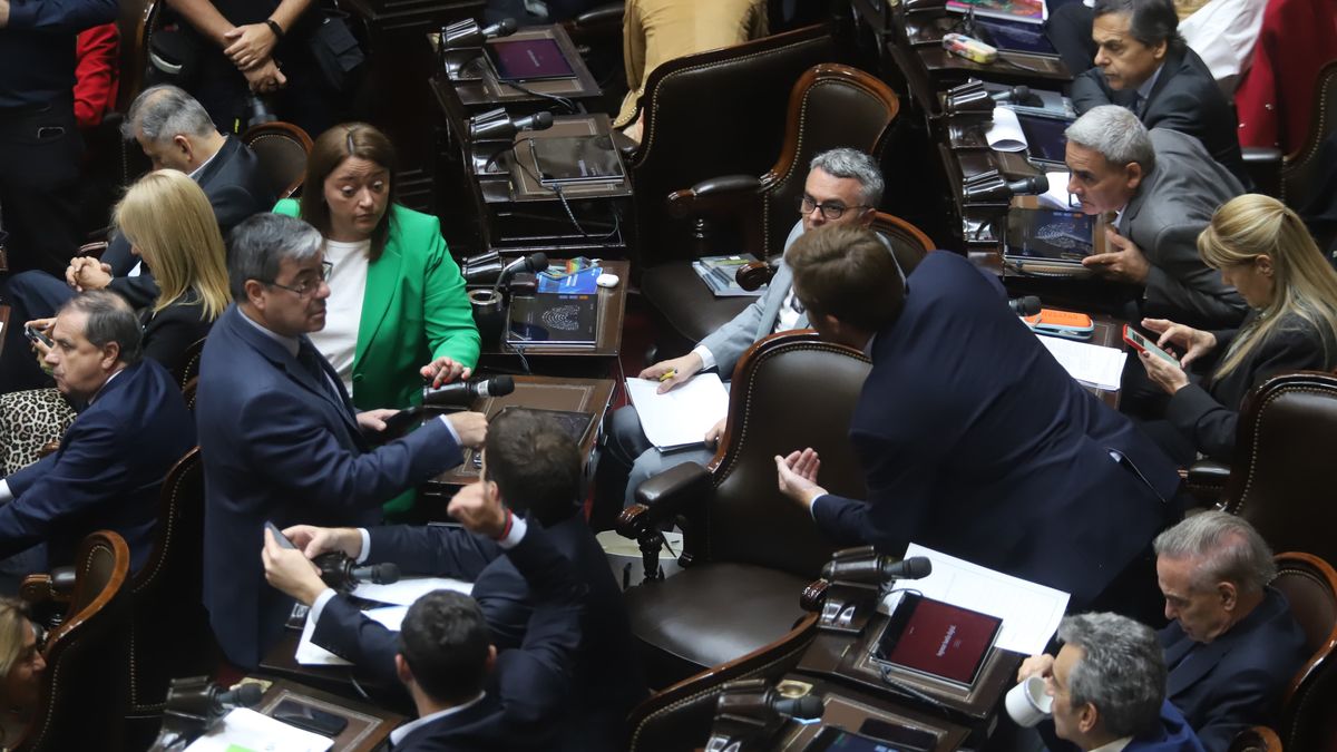 A la espera de los vetos presidenciales, la oposición diseña una sesión en Diputados con el protagonismo de gobernadores