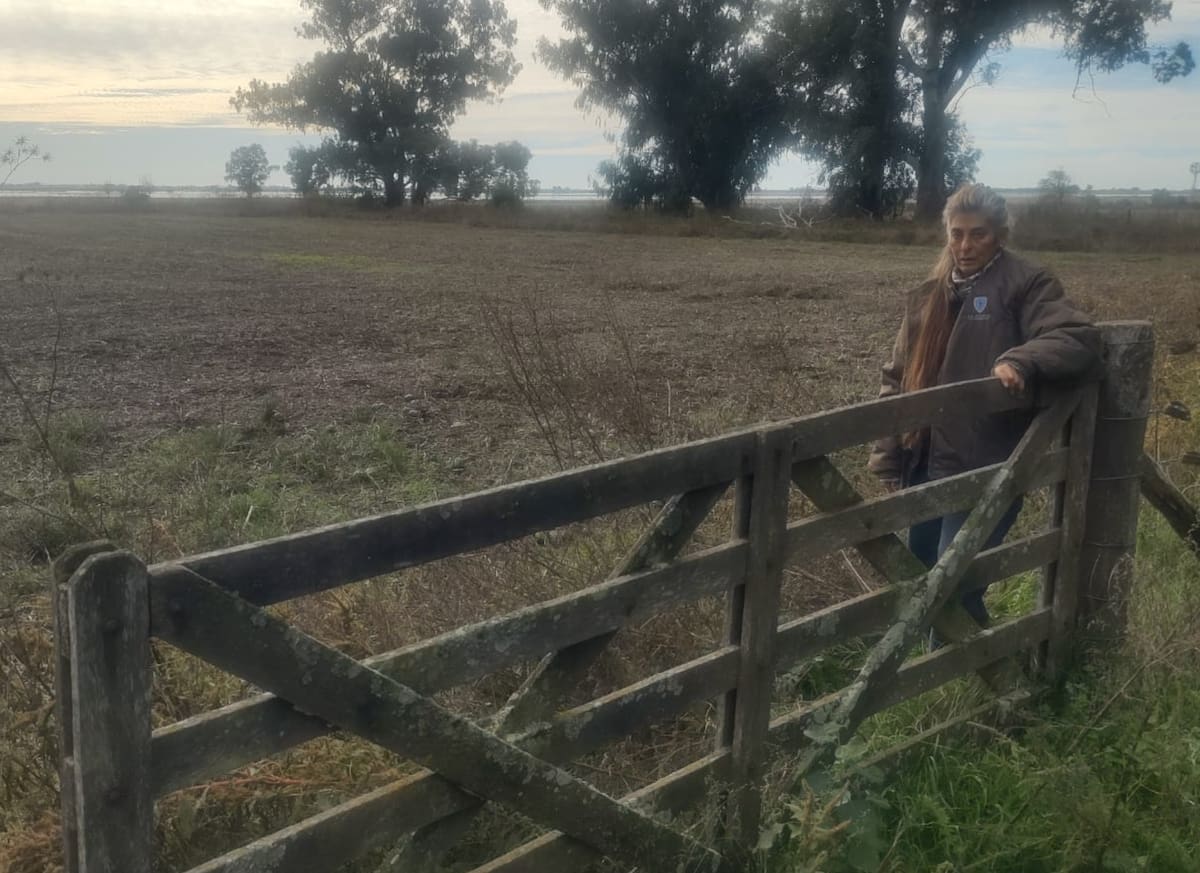 Productora emite contundente mensaje sobre el atraso en las obras de prevención de inundaciones