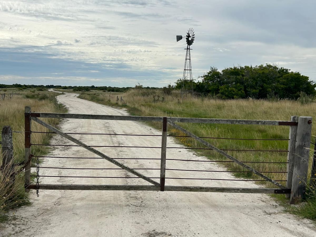 El impacto del fenómeno “góndola vacía” en el mercado de campos y su influencia en las operaciones