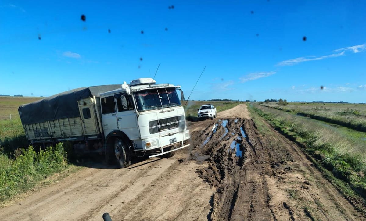 Proyecto de ley busca solucionar un reclamo histórico del sector agrícola