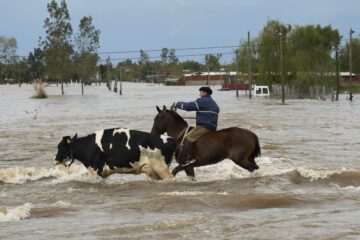 Crisis en los campos bonaerenses afectados por inundaciones