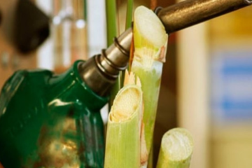 El sector sucroalcoholero respalda la ley de bicombustibles impulsada por la Liga de Provincias Bioenergéticas