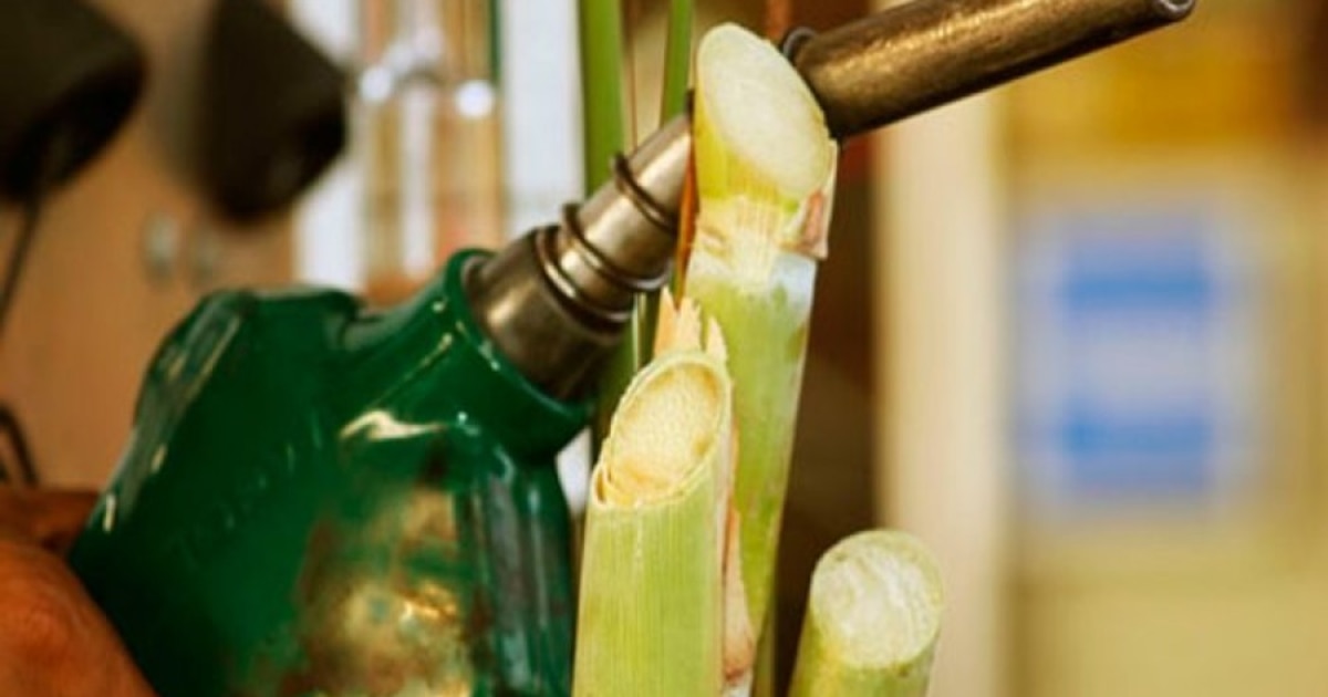 El sector sucroalcoholero respalda la ley de bicombustibles impulsada por la Liga de Provincias Bioenergéticas