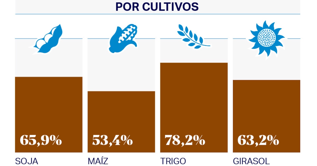 El Estado retiene 63 de cada 100 pesos que generan los agricultores en sus rentas