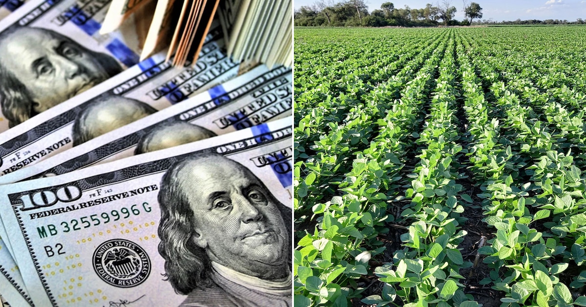 Cuánto dejó de recaudar el Gobierno por reducir las retenciones a la soja y qué pasará si las sube