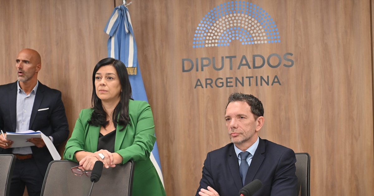 Libertarios bloquean elección de presidente en comisión $Libra y oposición advierte sobre juicio político a Milei