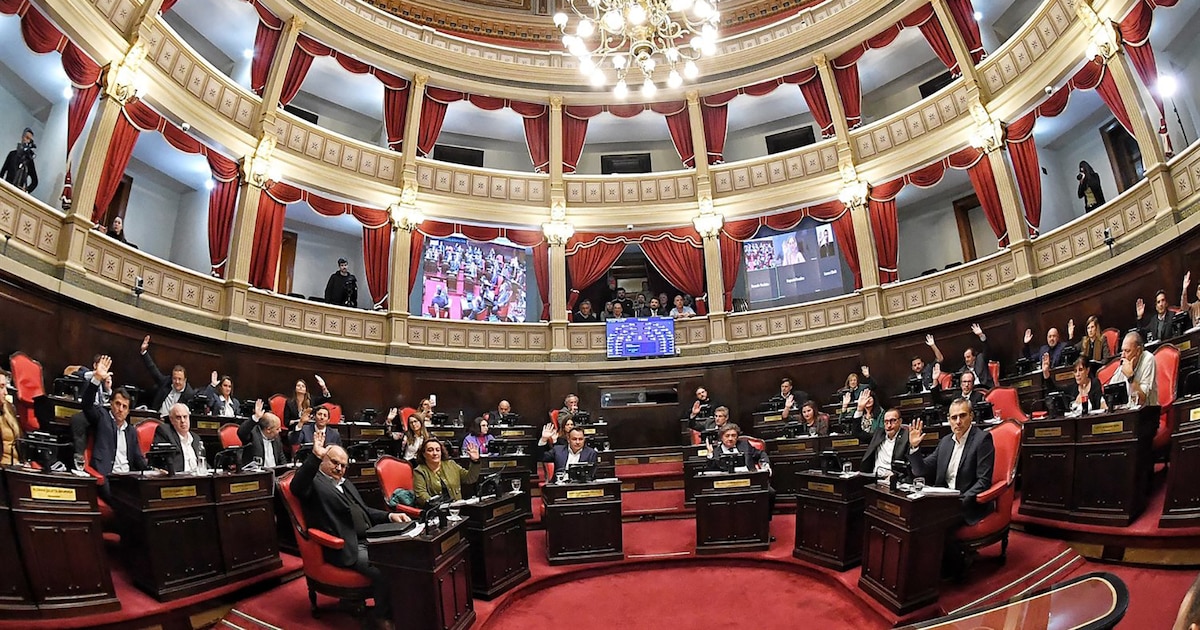 El peronismo bonaerense buscará aprobar reelección indefinida de legisladores en sesión del Senado este martes