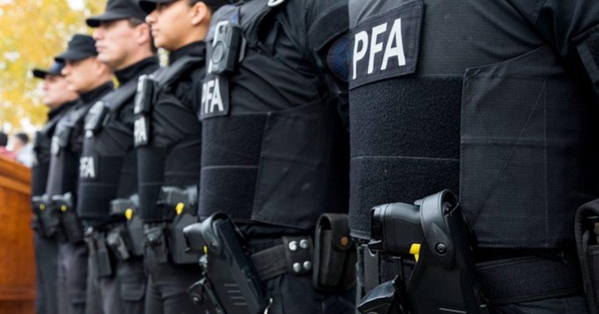 Nuevas facultades de la Policía Federal tras la reforma del Gobierno mediante el Decreto 383/2025 y cambios en su estructura