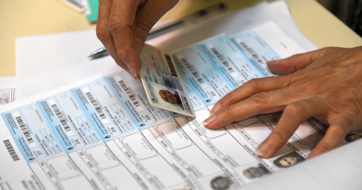 Calendario electoral 2025: Misiones, Formosa y Santa Fe marcarán la pauta en un contexto de estrategias provinciales