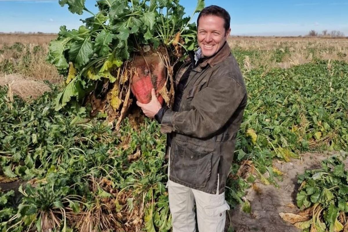 Cultivo innovador revoluciona el campo y baja el precio de la carne a solo US$0,50 por kilo.