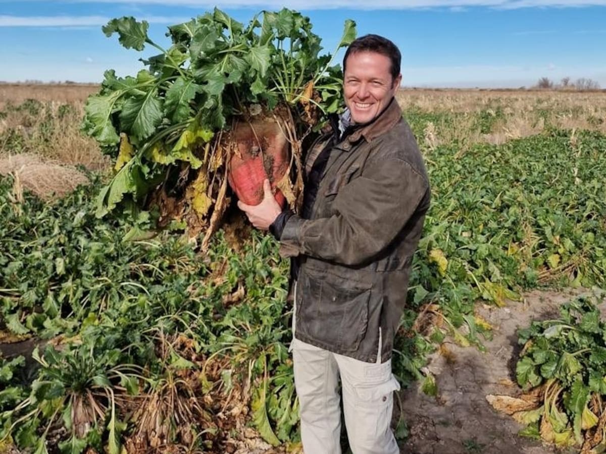 Cultivo innovador revoluciona el campo y baja el precio de la carne a solo US$0,50 por kilo.