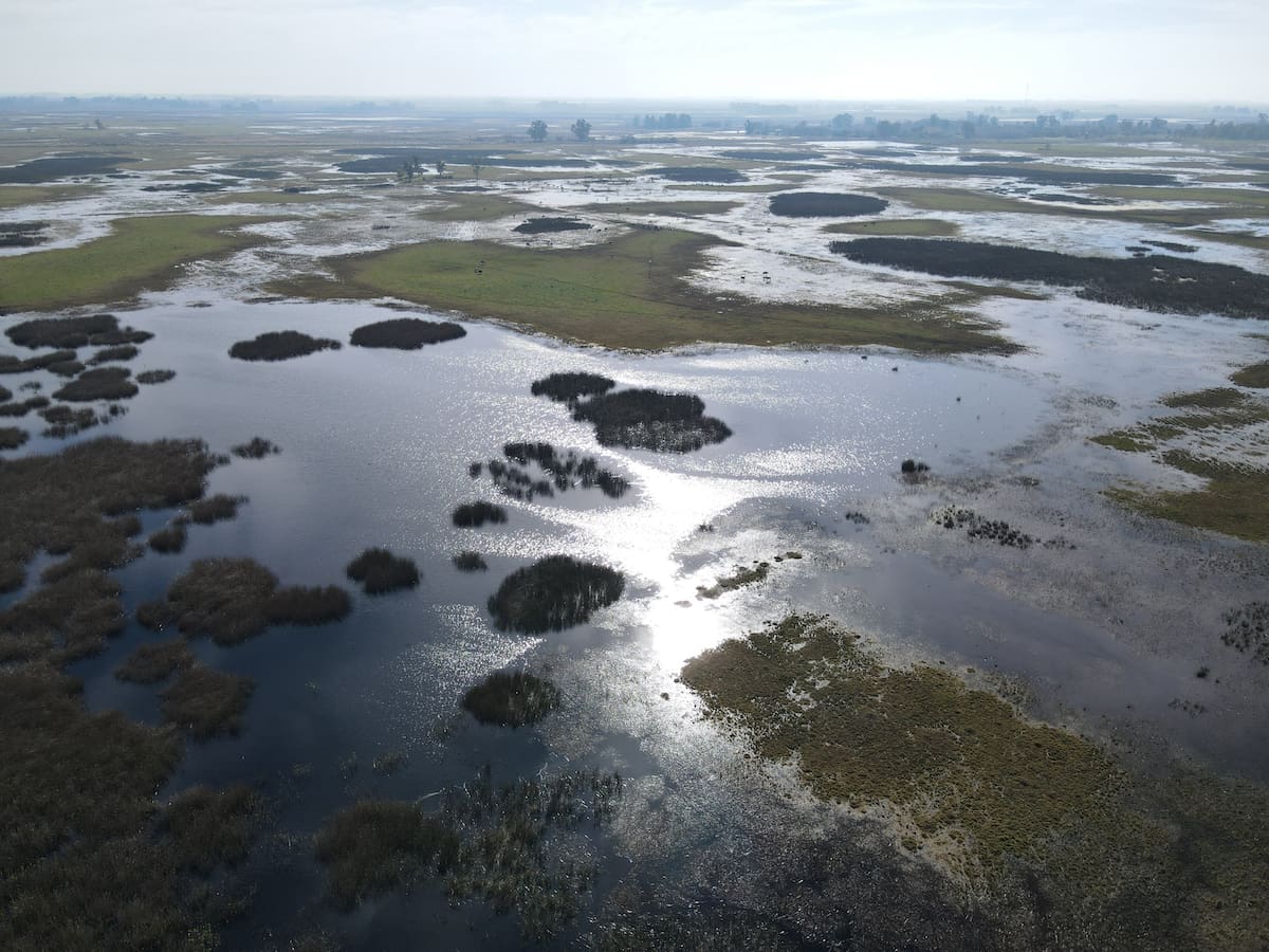 El drama en el campo: obras inconclusas y una impactante realidad de casi un millón de hectáreas inundadas
