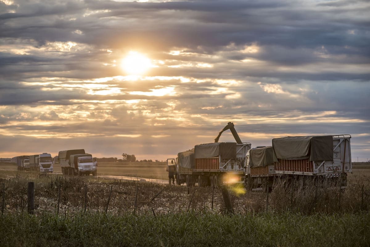 Decisión final a la vista: el urgente tiempo de descuento para una revisión crítica