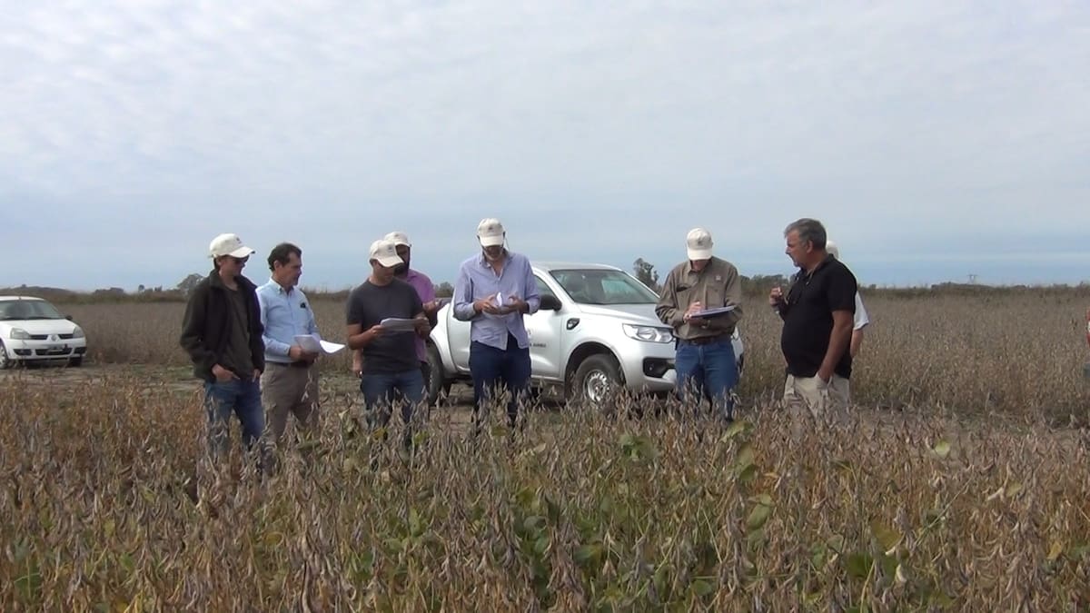 Nuevas tecnologías en la evaluación de cultivos: soja no OGM, maní y alfalfa, avances junto al INTA