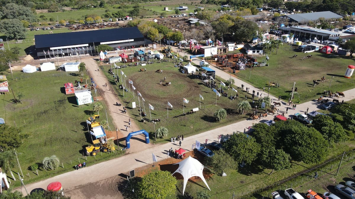 Las Nacionales brillan con un balance excepcional y logros impresionantes en su temporada