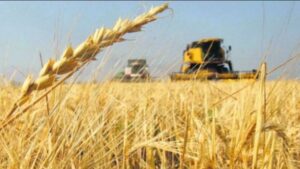 La Rural exige claridad en las reglas para el campo y un camino hacia la eliminación definitiva de las retenciones