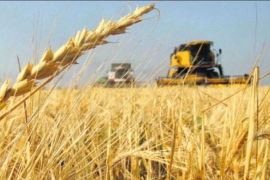 La Rural exige claridad en las reglas para el campo y un camino hacia la eliminación definitiva de las retenciones