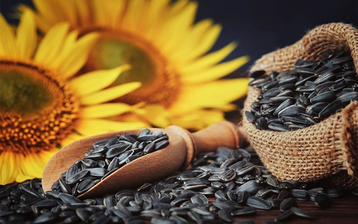 Cultivo argentino: una oportunidad en medio de la turbulencia geopolítica global