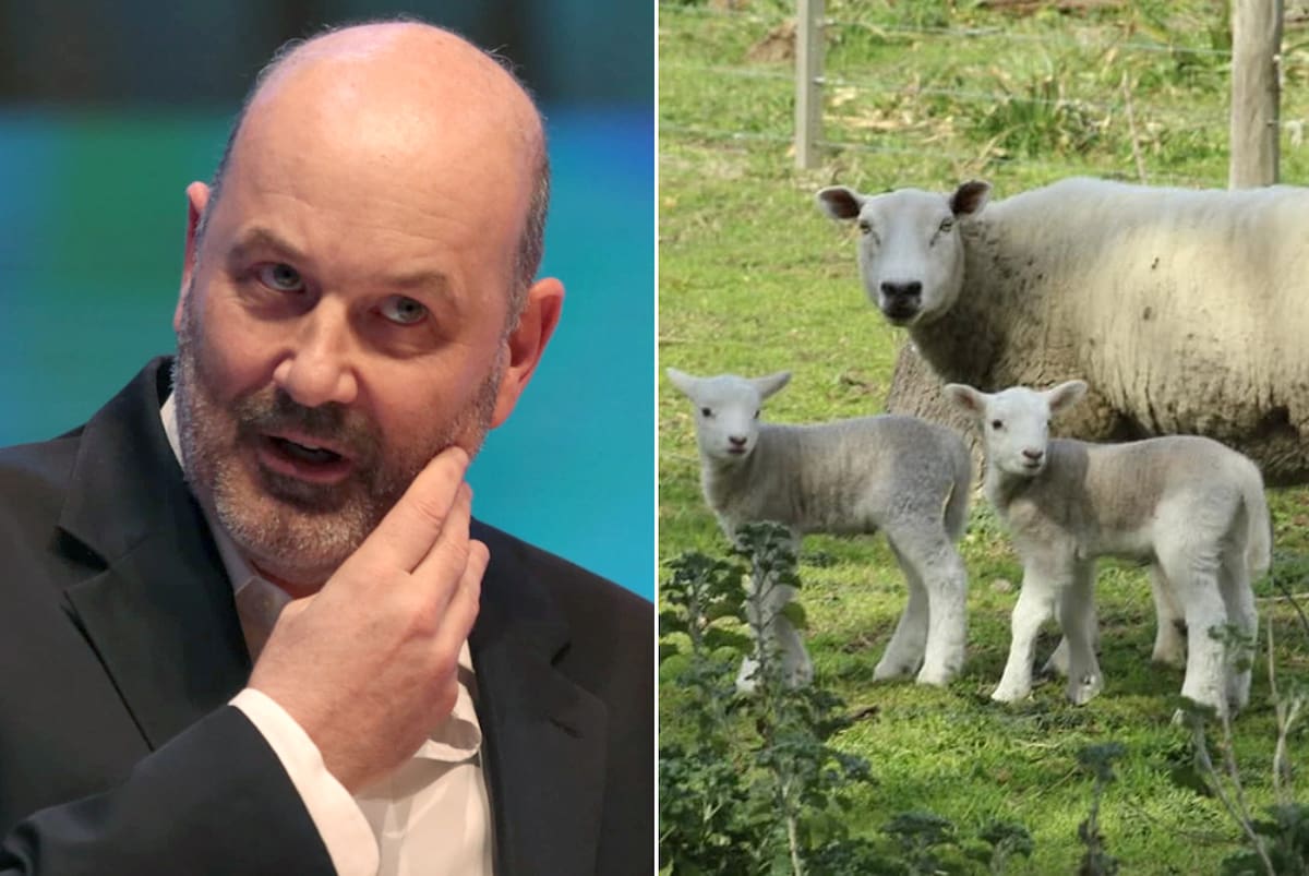 El Gobierno pone fin a regímenes ganaderos con larga tradición histórica