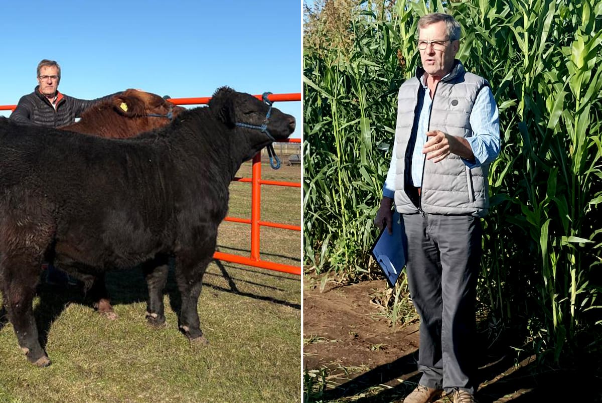La inspiradora trayectoria del productor que transformó su dolor en genética bovina galardonada y exportación de semillas