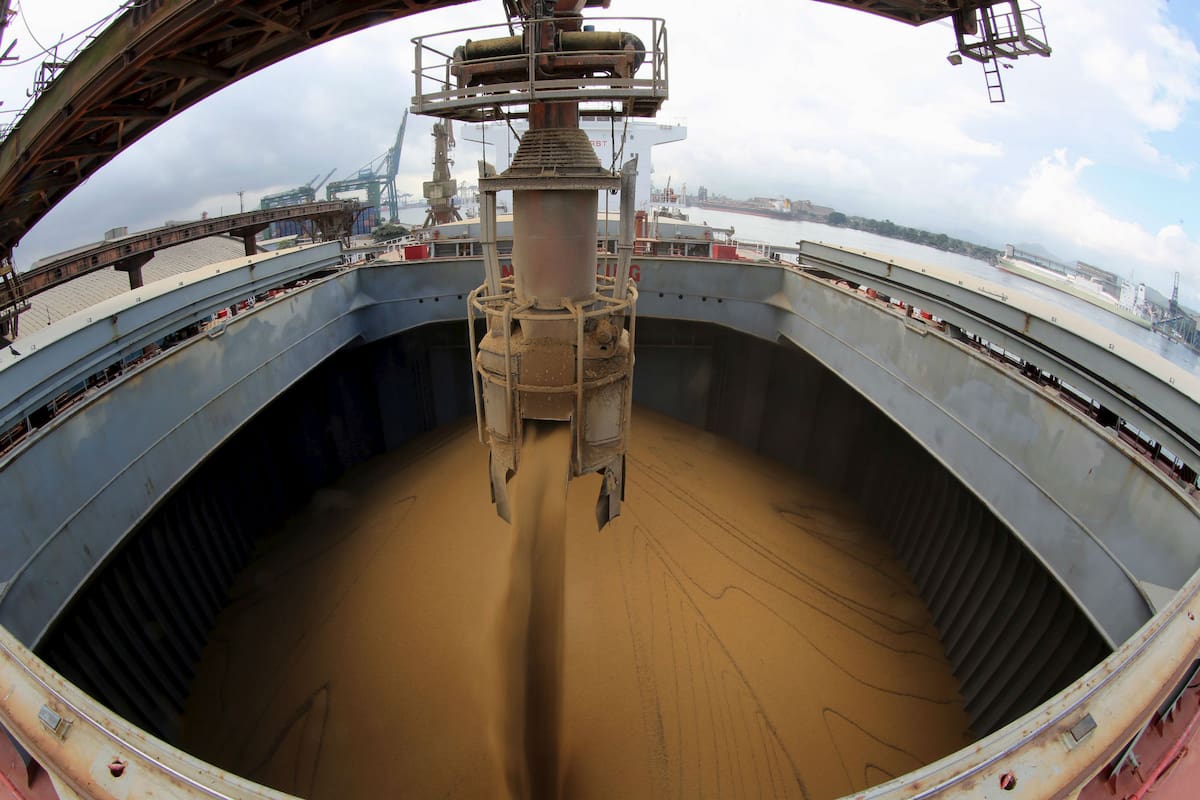 El impacto de los márgenes de exportación e industria en la tendencia del mercado actual