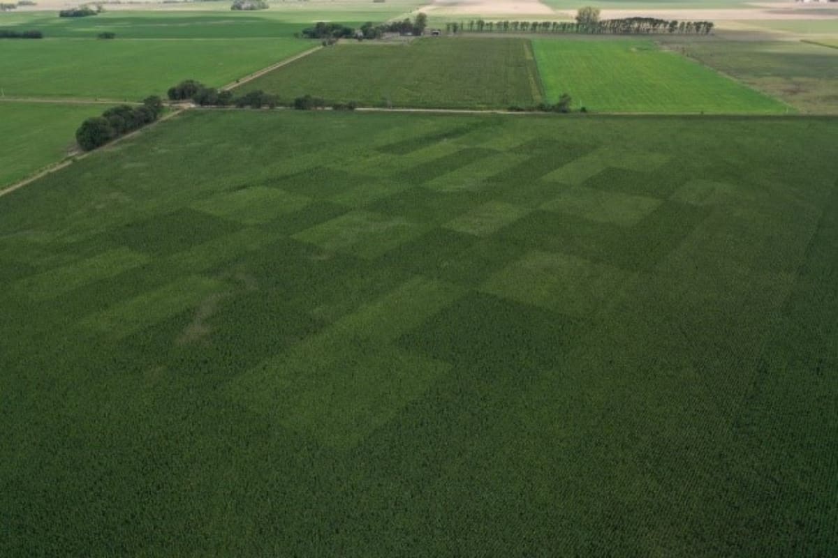 La agricultura de precisión impulsa la nutrición de los cultivos como estrategia clave para el futuro agrícola