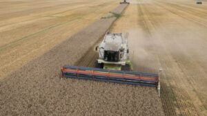 El peso del Estado sobre el campo: ¿Cuánto se lleva de cada hectárea?