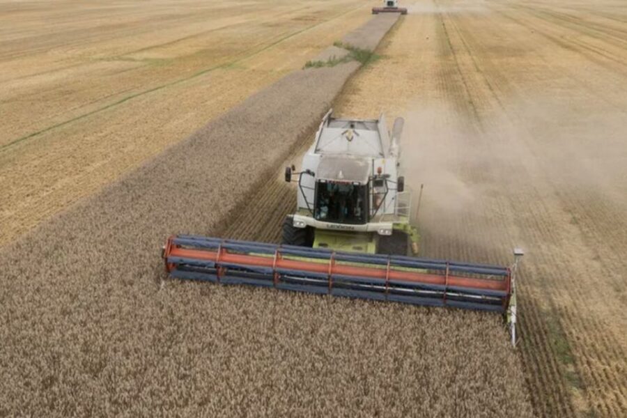 El peso del Estado sobre el campo: ¿Cuánto se lleva de cada hectárea?