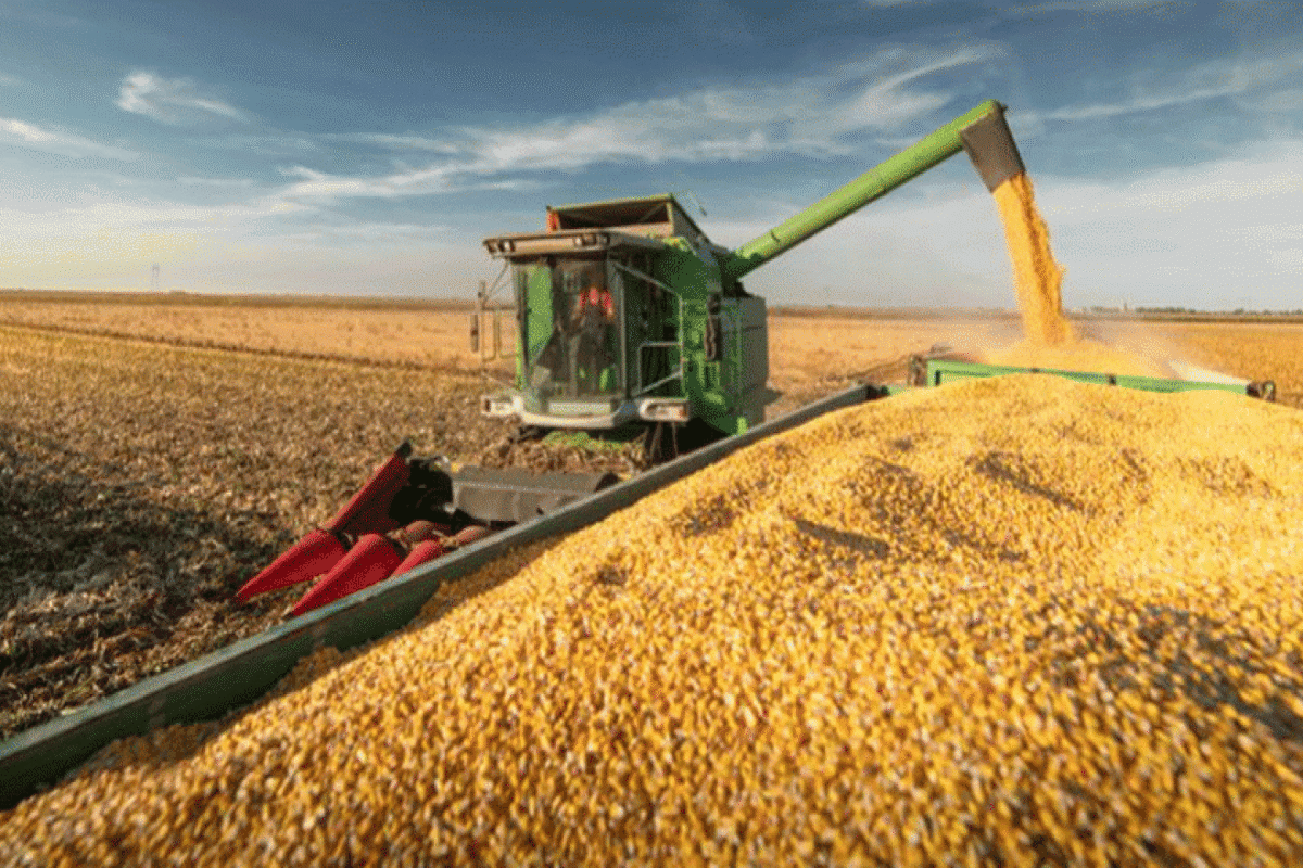 Preocupación en Entre Ríos por posibles cambios en el INTA