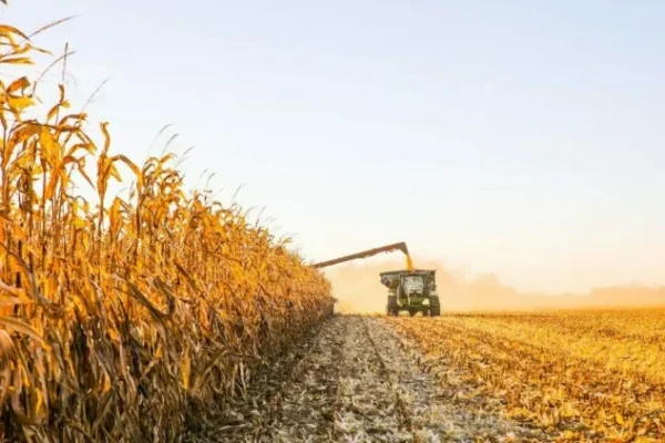 Fuertes críticas por la suba de las retenciones